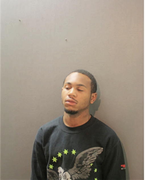 NATHAN L HILL, Cook County, Illinois