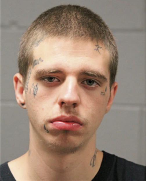 BRANDON D HOYNES, Cook County, Illinois
