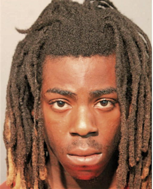 BRIAN KING, Cook County, Illinois