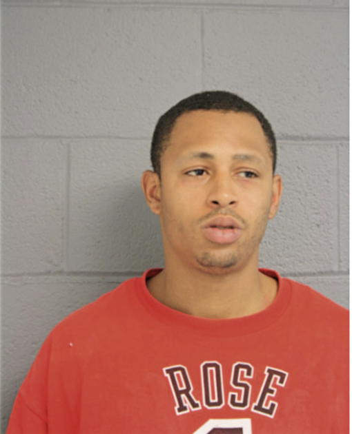 BRANDON J MCCALEBB, Cook County, Illinois