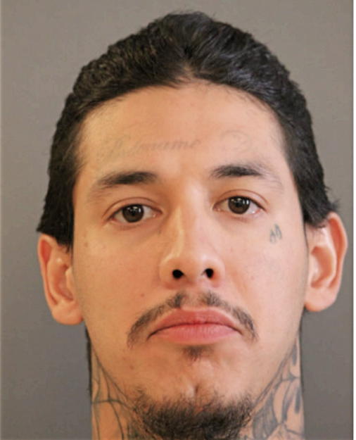 GUSTAVO A MENDOZA, Cook County, Illinois