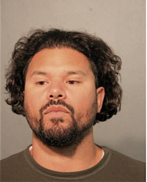 CARLOS R NERIS, Cook County, Illinois