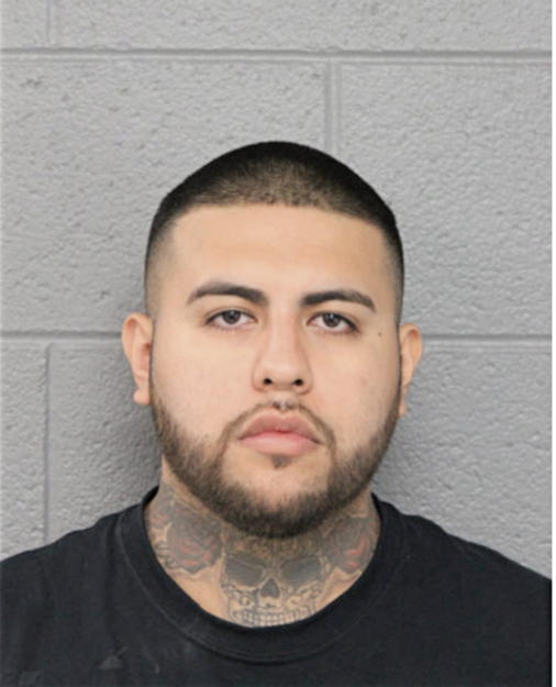 ELIAS ROMAN, Cook County, Illinois