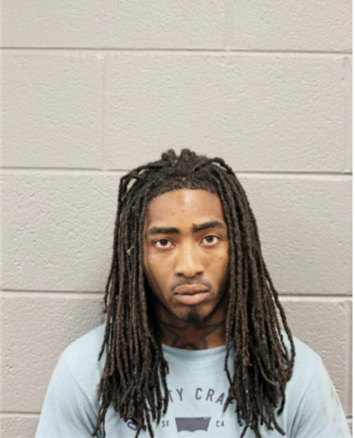 LAVISIEA L SMITH, Cook County, Illinois