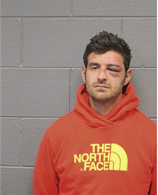 MICHAEL J SOLOMON, Cook County, Illinois