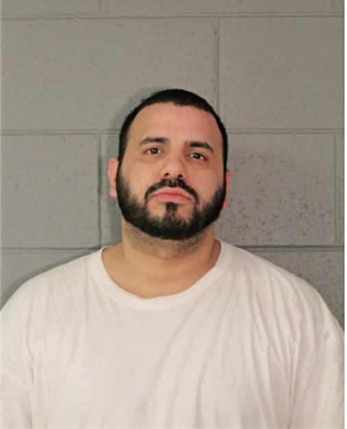 LOUIS TORRES, Cook County, Illinois
