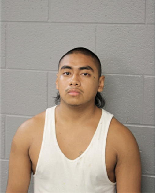 ROJELIO VILLALOBOS, Cook County, Illinois