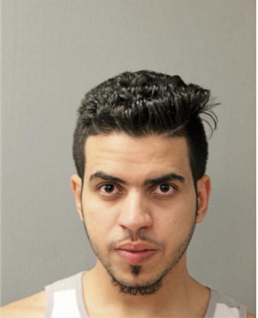 MOHAMMED S ALATAWI, Cook County, Illinois