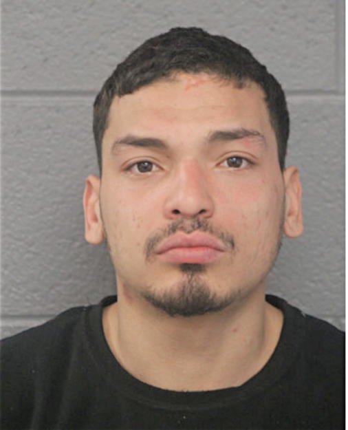 HECTOR ALVAREZ, Cook County, Illinois