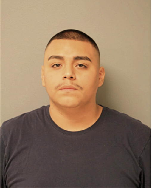 ALEXIS BRAVO-TAPIA, Cook County, Illinois