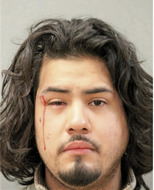 JOSE A CASTREJON, Cook County, Illinois