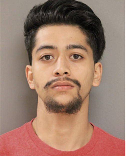EDWARDO DANIEL ECHEVARRIA, Cook County, Illinois