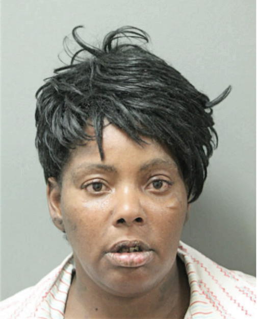 CARRIE L FERGUSON, Cook County, Illinois