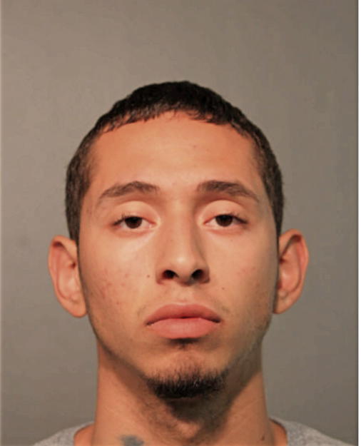 DAVID FERNANDEZ, Cook County, Illinois