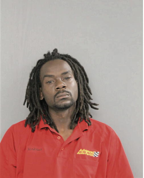JOSHUA D FREELAND, Cook County, Illinois