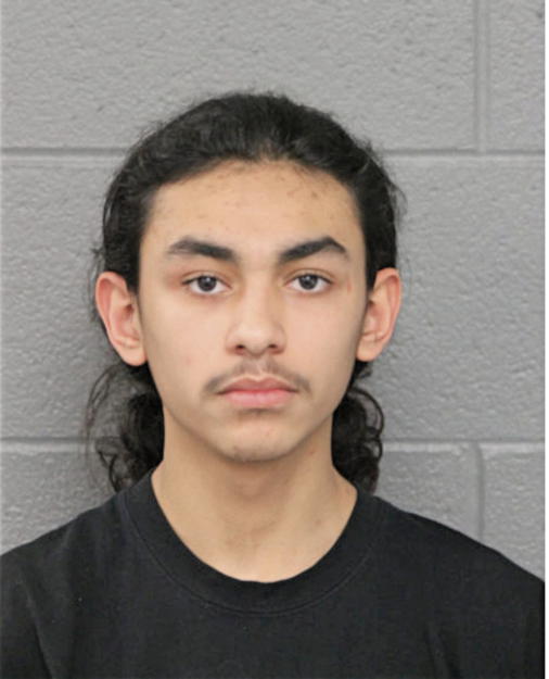 FRANCISCO GONZALEZ, Cook County, Illinois
