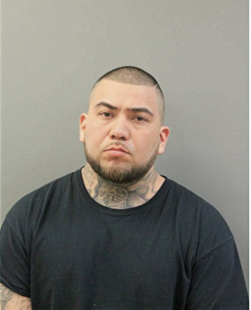 ERASTO C HERNANDEZ, Cook County, Illinois