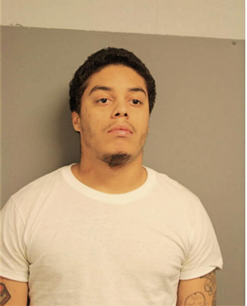 TRAVIS L MCCOY, Cook County, Illinois