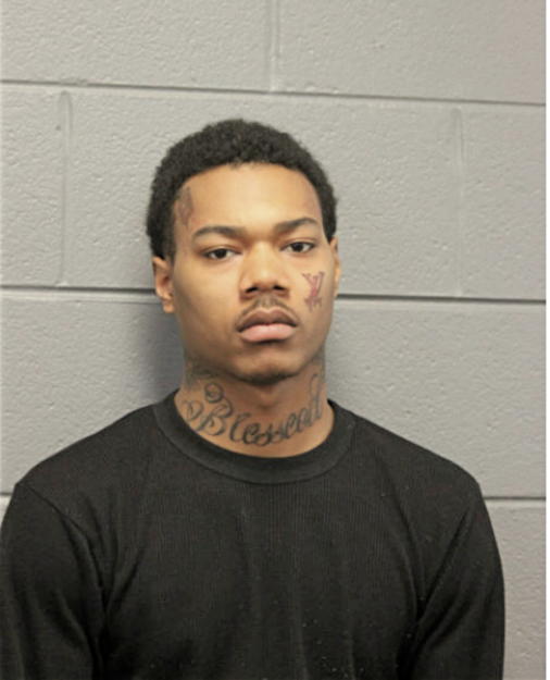 FRANK L MEEKS, Cook County, Illinois
