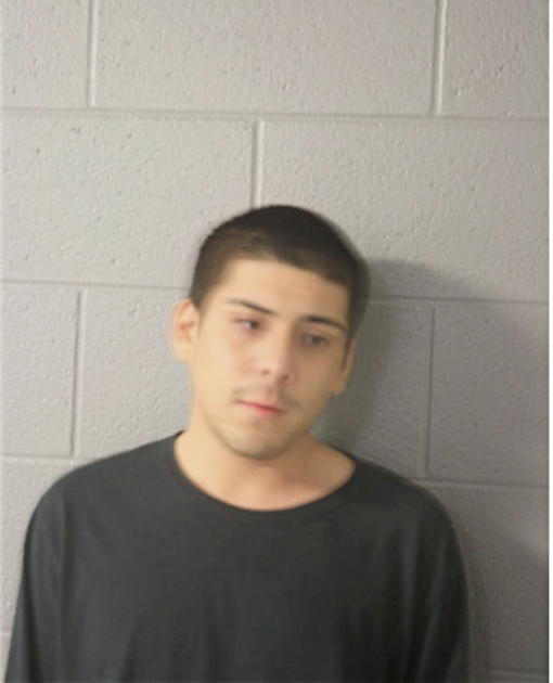 LUIS J REYES, Cook County, Illinois
