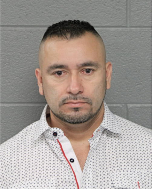 JULIO RUIZ, Cook County, Illinois