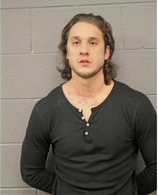 CHRIS T SCHWANTES, Cook County, Illinois