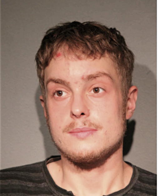 DIMITRIOS S SIMMS, Cook County, Illinois