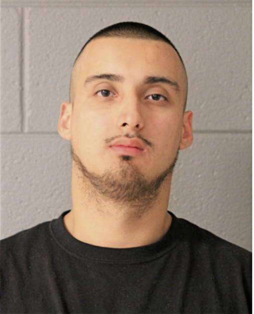 FAVIAN VALDIVIA, Cook County, Illinois