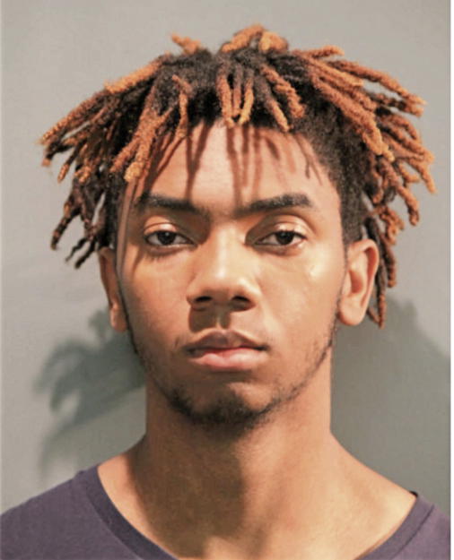 ERIC J ADAMS, Cook County, Illinois