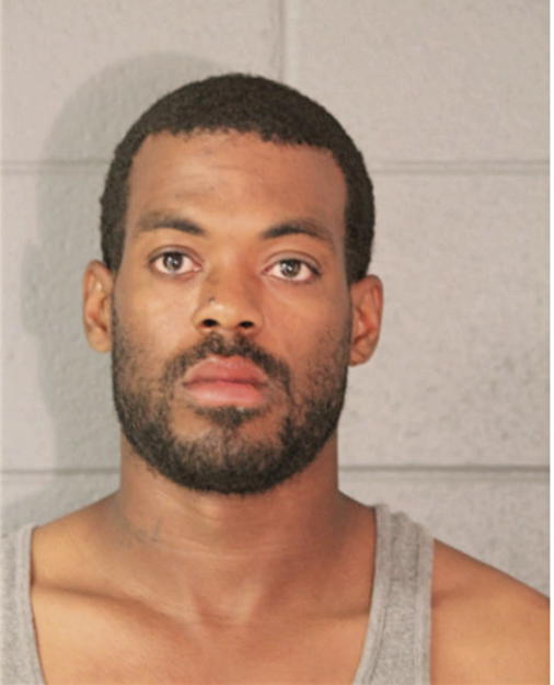 WAYNE M ALLEN, Cook County, Illinois
