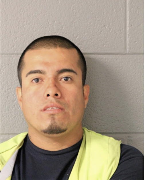 JOSE L ALMENDARES, Cook County, Illinois