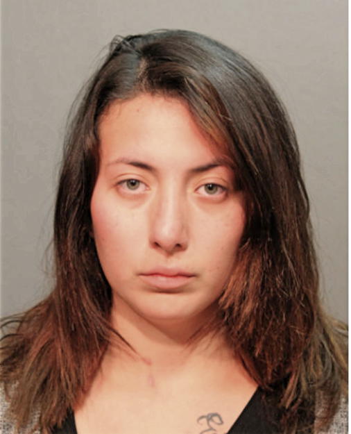 DAISY K ARGUETA, Cook County, Illinois