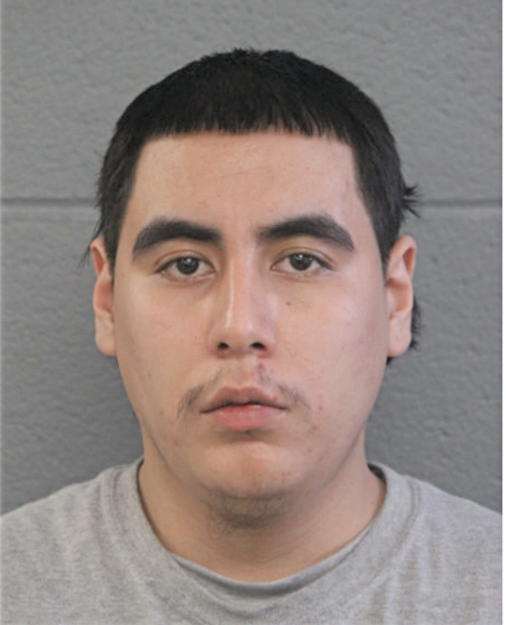BRIAN I AVILA, Cook County, Illinois
