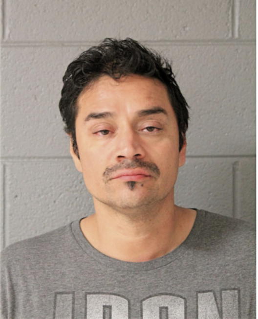 FRANCISCO BRAVO, Cook County, Illinois