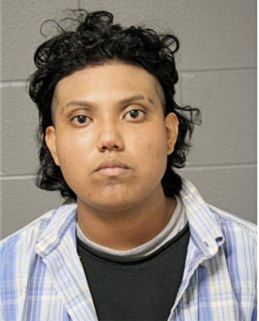 BRENDA BRITO, Cook County, Illinois
