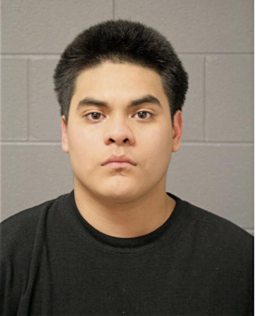 CHRISTIAN D CAMARENA, Cook County, Illinois
