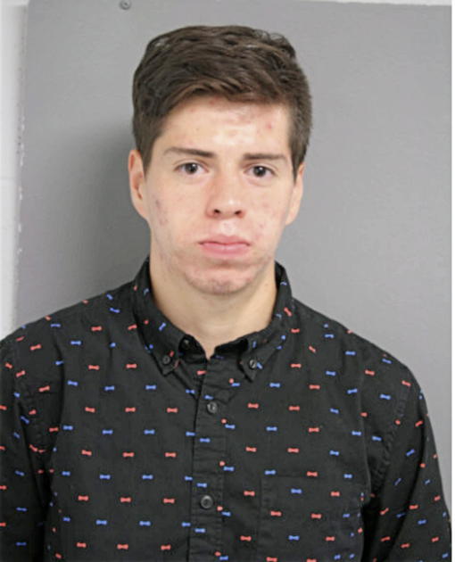 JUAN P CAMARENA, Cook County, Illinois