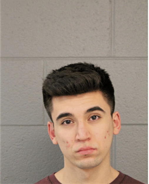 DANIEL A CASTANON, Cook County, Illinois