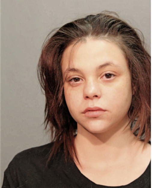 SAVANNA L CLARK, Cook County, Illinois