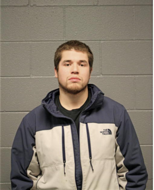 MARIO J DIPAOLA, Cook County, Illinois