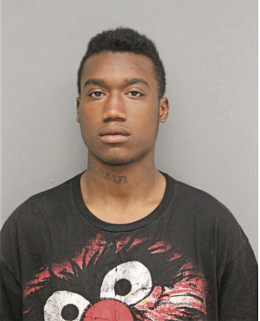 DIONTE S DORCH, Cook County, Illinois