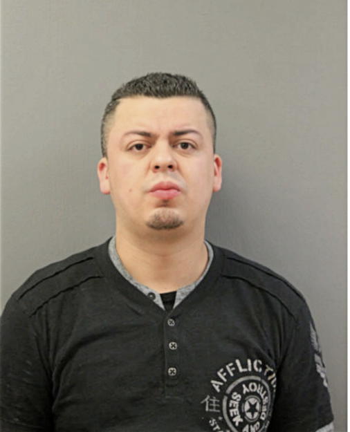 LUIS F FLOREZ, Cook County, Illinois