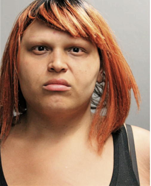 CARMEN C HARRISON, Cook County, Illinois