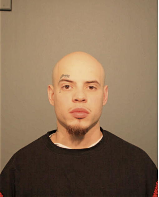 WILLIAM E HERNANDEZ, Cook County, Illinois