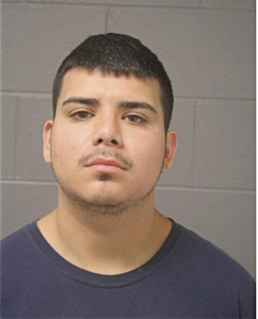 MARK A HERRERA, Cook County, Illinois