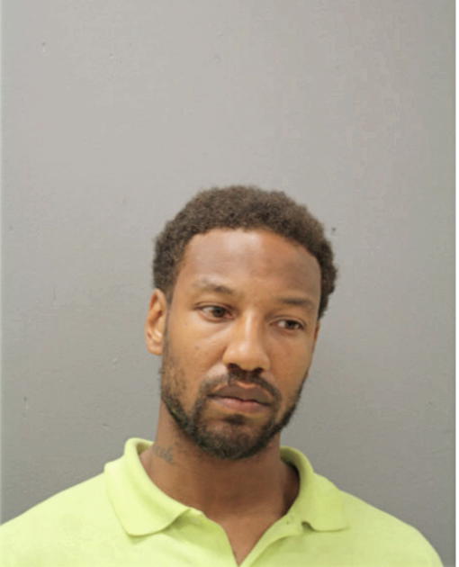 AMOS P JOHNSON, Cook County, Illinois