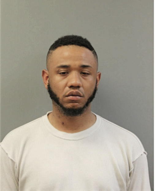 ROSHAWN S JONES, Cook County, Illinois