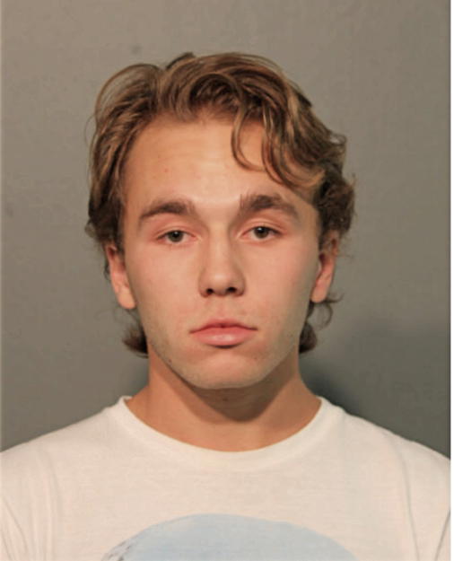 MICHAEL K KRALIS, Cook County, Illinois
