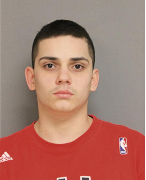 MICHAEL A LEINARD, Cook County, Illinois