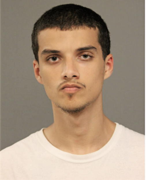 HARI H LELE, Cook County, Illinois